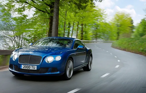 Дорога, car, авто, трава, деревья, синий, цвет, Bentley