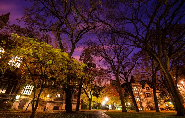 Картинка United States, Chicago, Illinois, Jackson Park Terrace