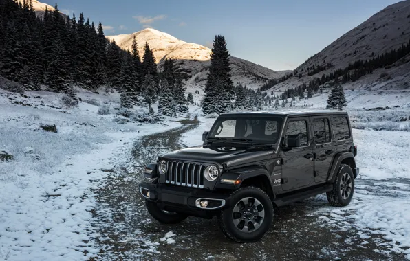 Снег, деревья, горы, 2018, Jeep, тёмно-серый, Wrangler Sahara