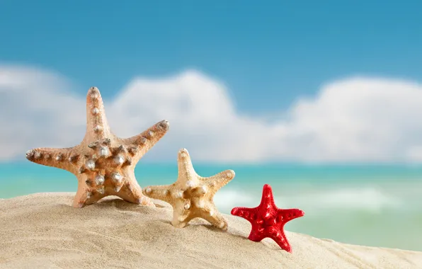 Песок, море, пляж, лето, summer, beach, sea, sand