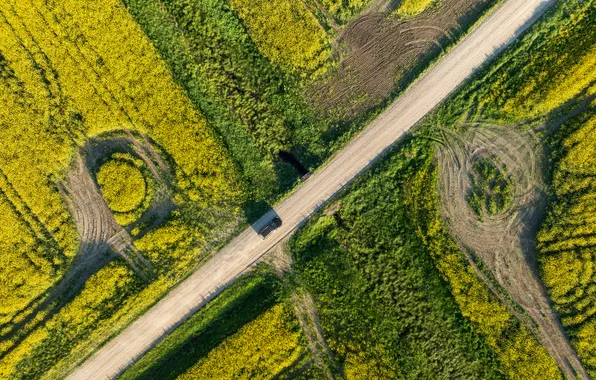 Field, vehicle, dirt road, drone view