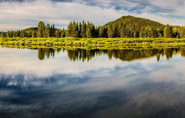 Горы, озеро, остров, панорама, Гранд-Титон, Grand Teton National Park, Oxbow