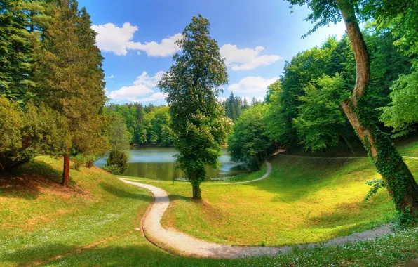 Деревья, пейзаж, природа, озеро, река, тропа