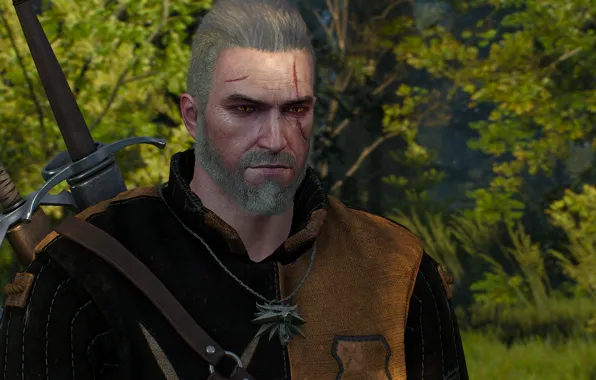 Природа, Ведьмак, Геральт из Ривии, Ведьмак 3, The Witcher 3
