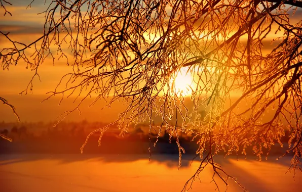 Зима, солнце, закат, sunset, winter, Sunrises