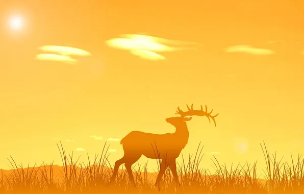 Картинка животные, солнце, закат, природа, восход, олень