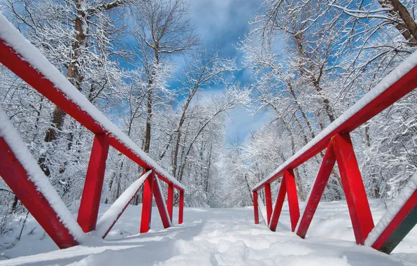 Зима, снег, парк, мостик
