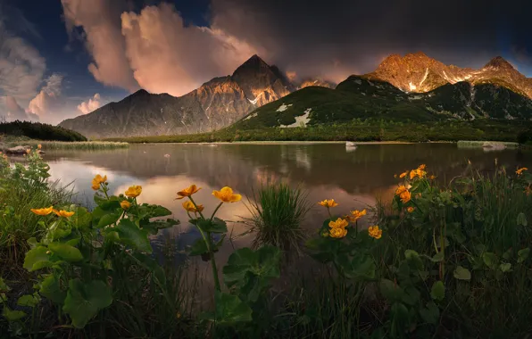 Небо, вода, цветы, горы, озеро, Словакия, Karol Nienartowicz