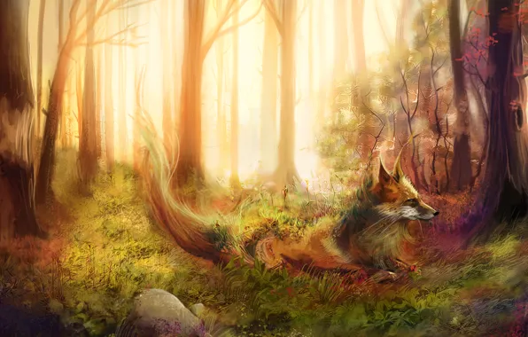 Картинка лес, трава, деревья, камни, лиса, рыжая