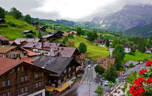 Лес, горы, дома, Швейцария, долина, городок, Grindelwald