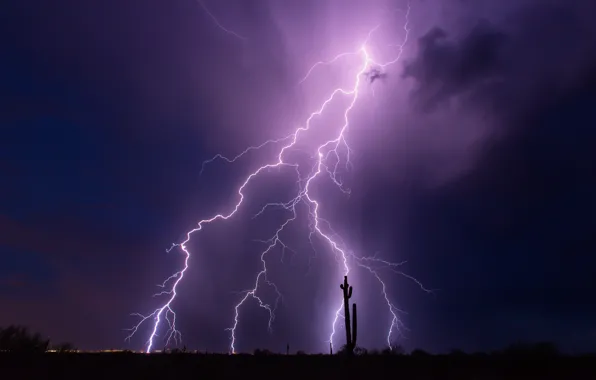 Картинка гроза, небо, ночь, тучи, молнии, Аризона, США, фиолетовое