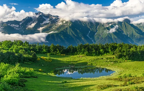 Картинка лето, солнце, облака, деревья, горы, природа, тень, Анна Андреева