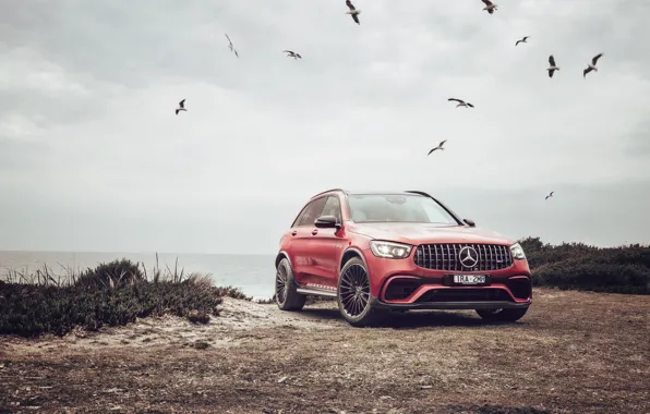 Красный, Чайки, Побережье, Автомобиль, Mercedes-AMG GLC 63 S 4MATIC+