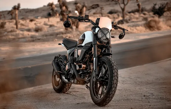 Картинка Bikes, 2025, Anniversary Edition, Ducati Scrambler