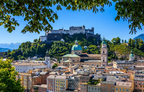 Картинка ветки, здания, Австрия, панорама, собор, крепость, Austria, Salzburg