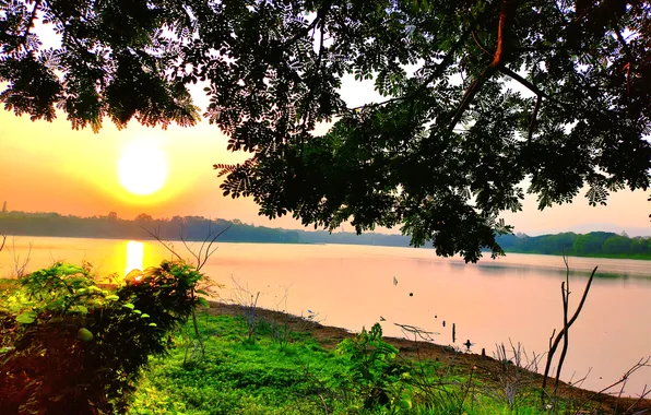 Sun, Water, Sunrise, Dawn, Morning, Lake, Trees, Reflection