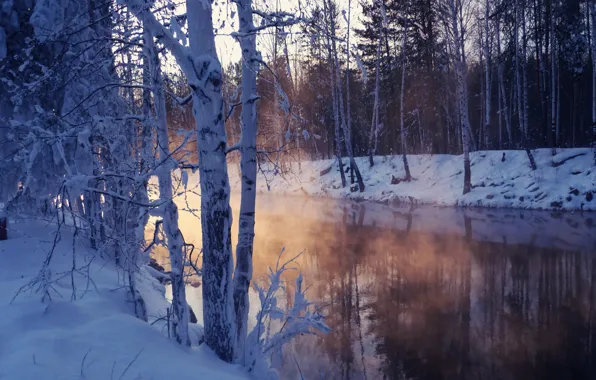 Картинка зима, снег, деревья, озеро, стужа