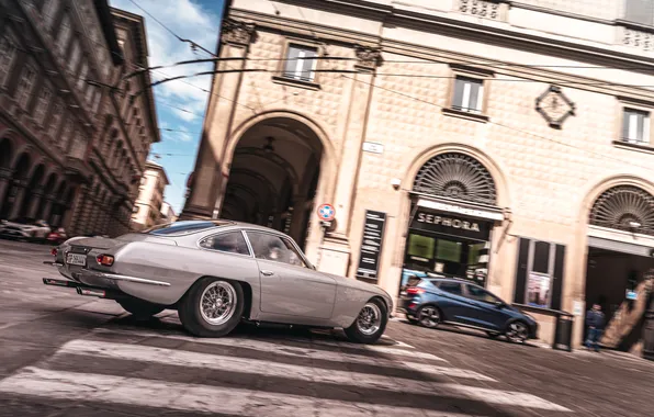 Lamborghini, 350 GT, 1964, Lamborghini 350 GT