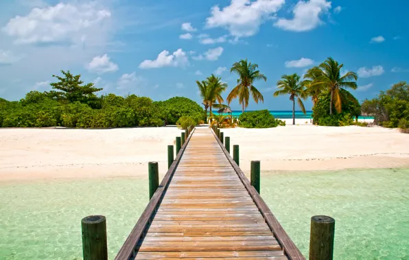Пляж, небо, мост, пальмы, голубое, пейзажи, остров, экзотика