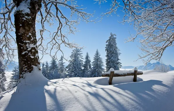 Картинка зима, лес, небо, снег, пейзаж, скамейка, природа, парк
