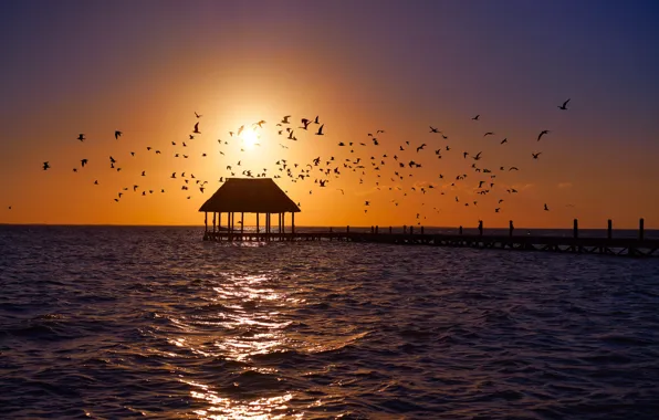 Картинка Вода, Море, Пирс, Птицы, Мексика, Mexico, Isla Holbox, Исла Холбокс