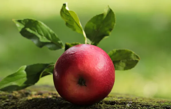 Apple, Красный, Красное Яблоко, Фруктов