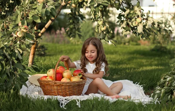Картинка яблоки, урожай, девочка