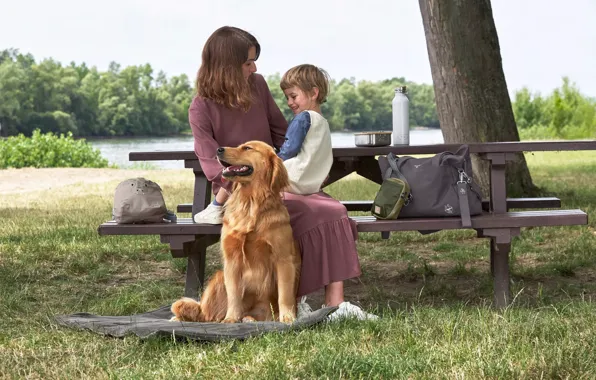 Картинка Девушка, Собака, Мальчик, Улыбка, Golden Retriever, Трое, Золотистый ретривер, Hunting Dog