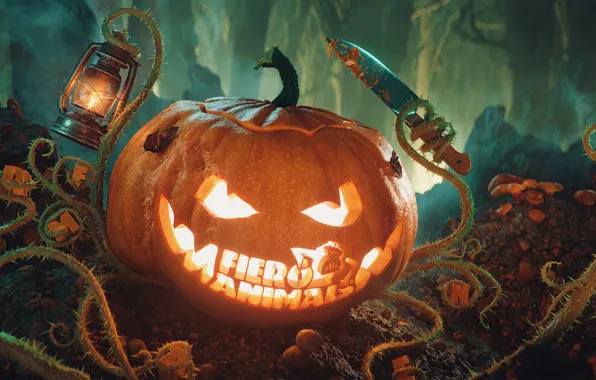 Нож, фонарь, тыква, halloween