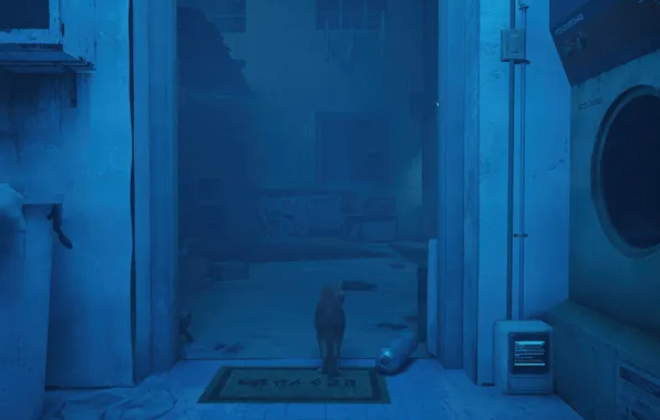 Игры, котик, Stray