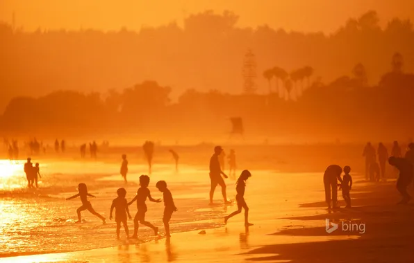 Картинка пляж, деревья, дети, вечер, Калифорния, США, Коронадо