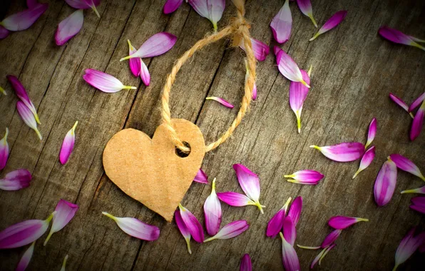 Любовь, цветы, бумага, фон, обои, настроения, сердце, веревка