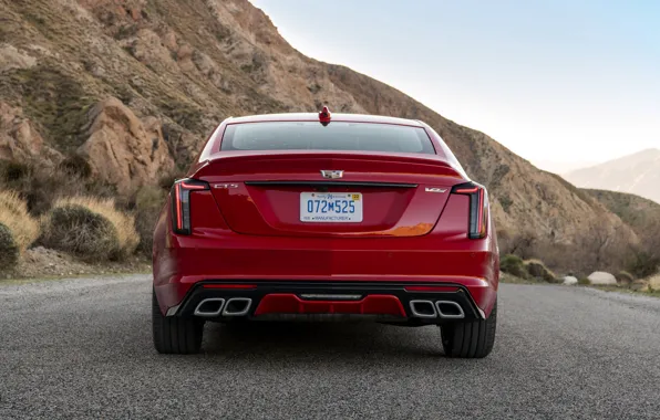 Красный, Cadillac, седан, вид сзади, четырёхдверный, 2020, CT5-V