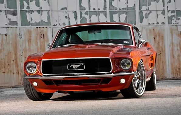 Muscle, Ford Mustang, Classic, Fastback, Widebody, Vehicle