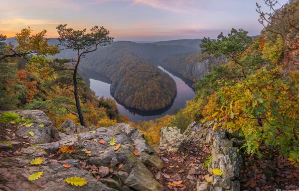 Картинка осень, деревья, скала, река, Чехия, изгиб, подкова, Богемия