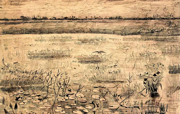 Кувшинки, Винсент ван Гог, Water Lillies, Marsh with