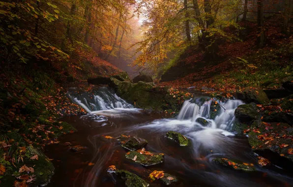 Картинка осень, лес, деревья, река, водопад, Бельгия, каскад, Belgium