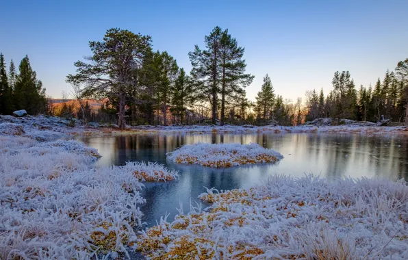 Картинка Норвегия, frozen, winter is coming, ноябрь, Straumsbotn