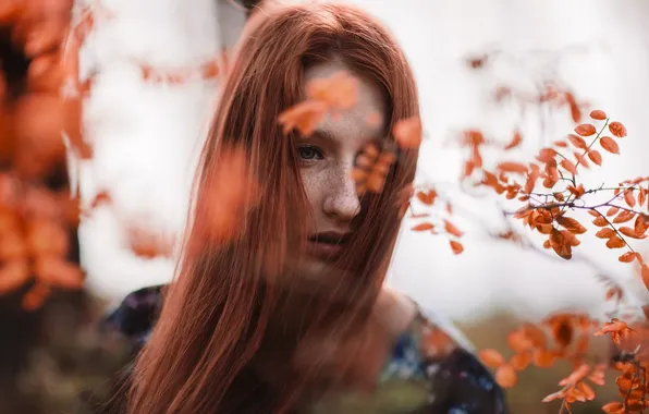 Взгляд, девушка, портрет