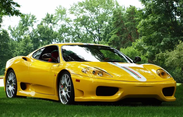 Картинка трава, деревья, желтый, фон, Феррари, Ferrari, суперкар, 360