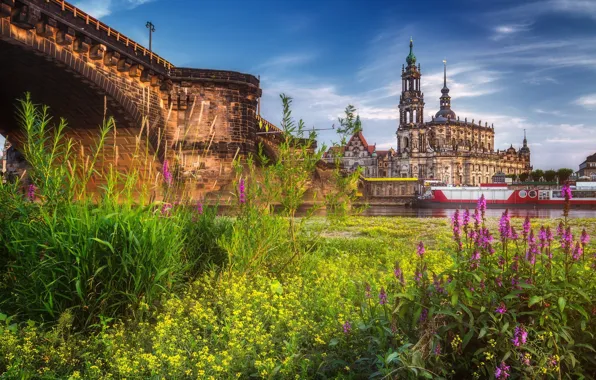 Картинка город, Германия, Дрезден, луг, Dresden