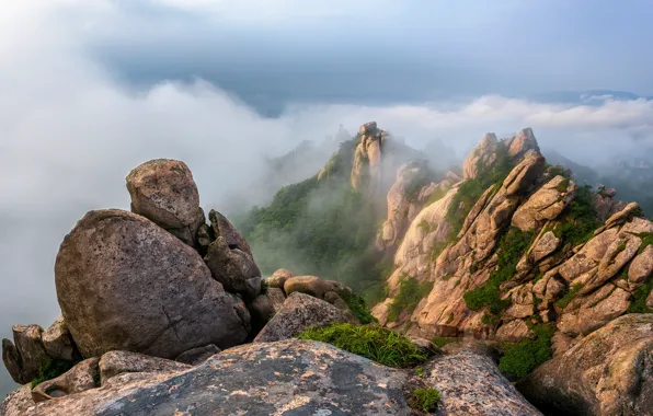 Облака, пейзаж, горы, природа, туман, Южная Корея, заповедник, Wolchulsan National Park