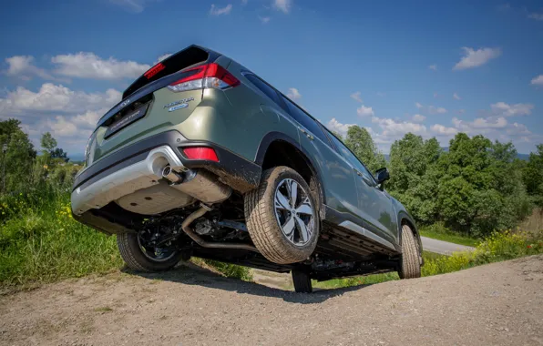 Картинка Subaru, 4x4, кроссовер, Forester, 2019