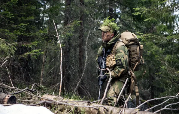 Оружие, солдат, Norwegian Army