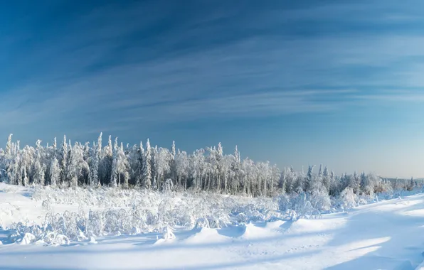 Frozen, Clouds, Sky, Wood, Winter, Snow, Ice, Trees