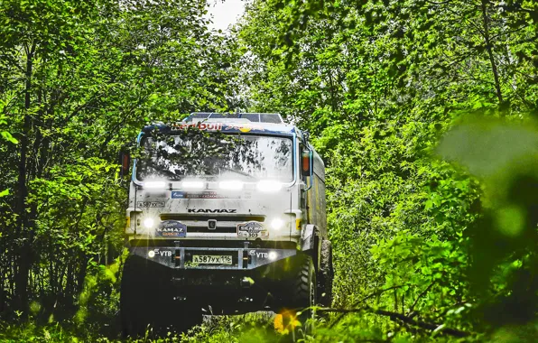 Трава, Спорт, Скорость, Гонка, Мастер, Россия, Kamaz, Rally