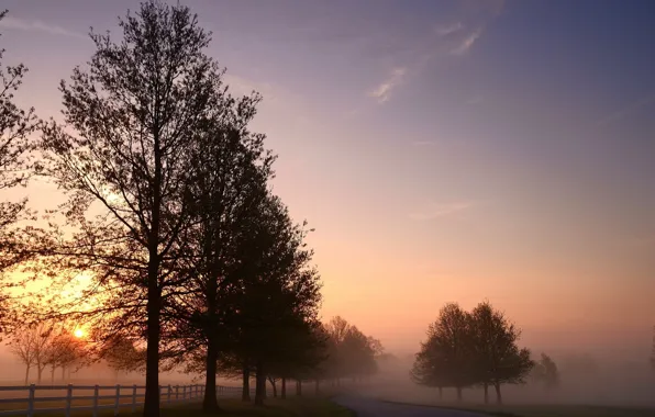 Картинка дорога, пейзаж, туман, утро