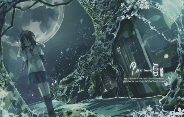 Картинка девушка, звезды, деревья, ночь, луна