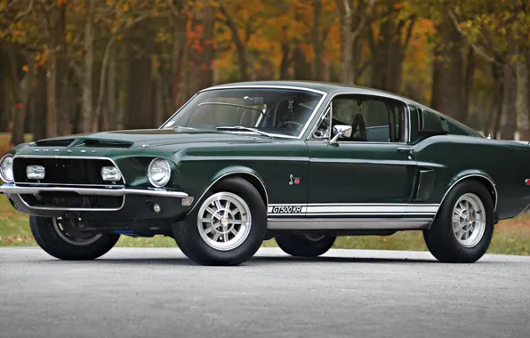Shelby, спорткар, Ford Mustang, GT500KR, Спортивный автомобиль