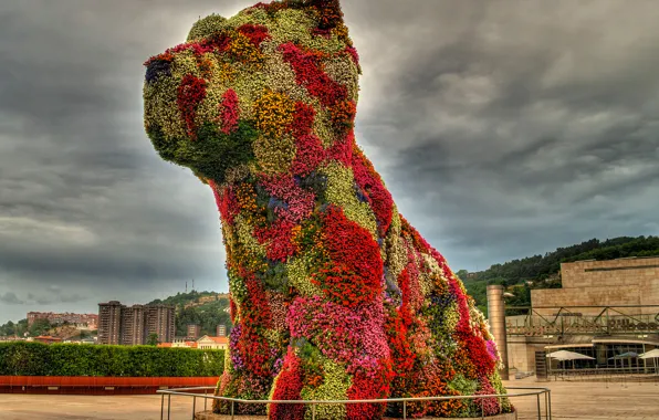 Цветы, город, собака, щенок, скульптура